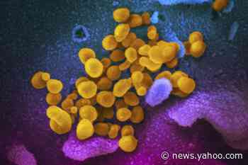 NOT REAL NEWS: False coronavirus claims and phony remedies