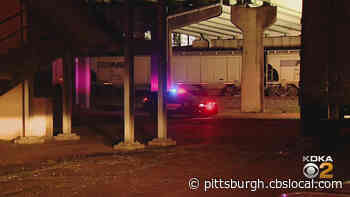 Pedestrian Hit, Killed By Train Under Tarentum Bridge