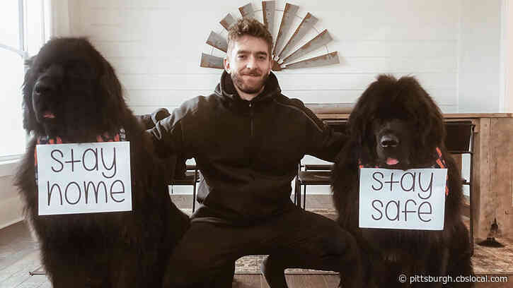 ‘Stay Home And Stay Safe’: Penguins Goaltender Matt Murray And His Dogs Send Their Wishes From Home