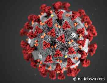 Confirman segundo caso de coronavirus en Santa Barbara - NoticiasYa