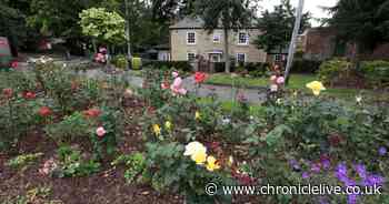 Passionate People, Passionate Places: the hidden gem that is Washington Village