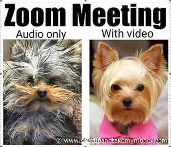 Zoom Meeting Audio Only Vs With Video Meme