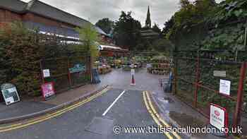 'All we’re doing is surviving': Croydon's garden centres hit hard by lockdown