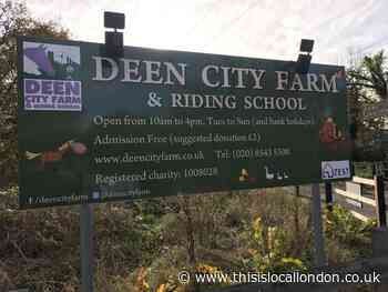 'Thank you': Deen City Farm given donation lifeline by generous community