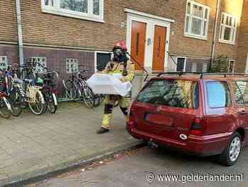 Kat coronapatiënt door Dierenambulance én brandweer uit huis gehaald