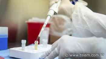 Un hombre residente en la provincia de Buenos Aires es la víctima 35 por coronavirus - Télam