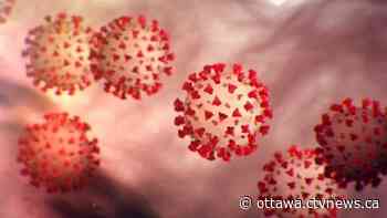 8 new cases of COVID-19 in Ottawa on Monday - CTV News