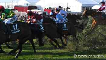 Welsh raider Potters Corner wins Virtual Grand National