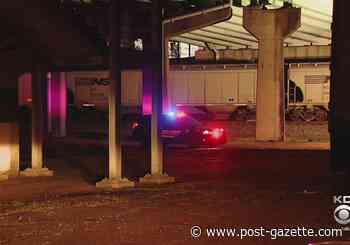 Woman killed in Tarentum by train identified