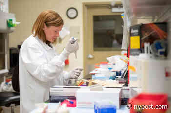 Researchers may have found coronavirus' Achilles heel - New York Post