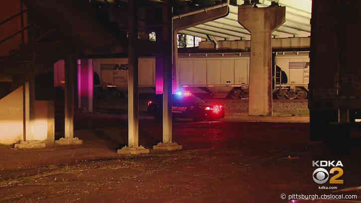 Pedestrian Hit, Killed By Train Under Tarentum Bridge, County Police Investigating
