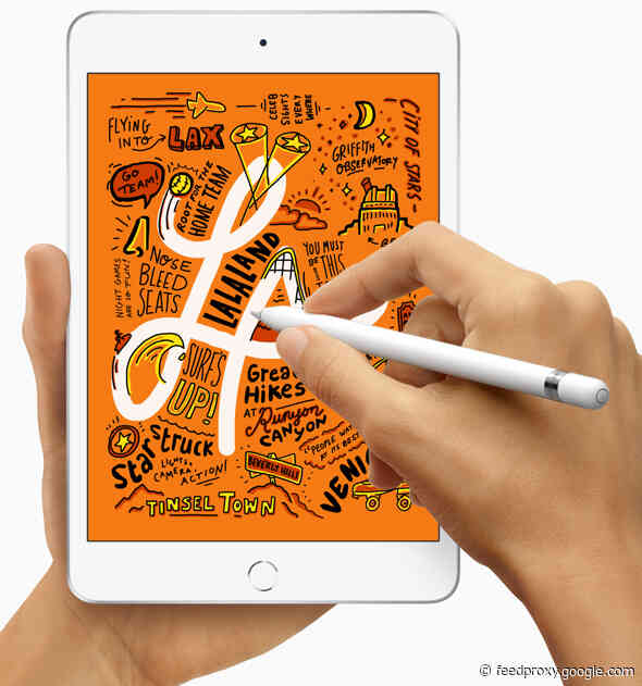 Adapting Apple’s iPad mini to work and play