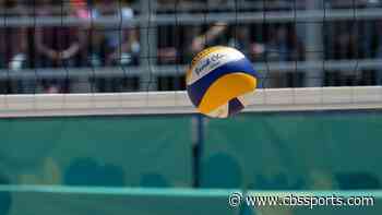 WATCH: Dog serves as almost perfect volleyball partner during COVID-19 quarantine