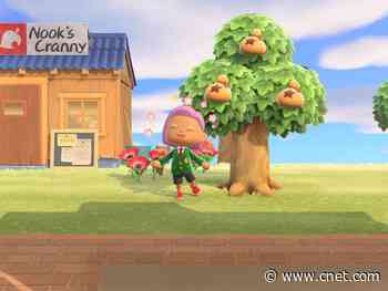 18 best Animal Crossing: New Horizons tips for Nintendo Switch to learn now     - CNET