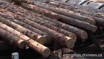 Alberta government defers timber dues to assist forestry industry