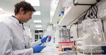 The Rising Heroes of the Coronavirus Era? Nations’ Top Nerds