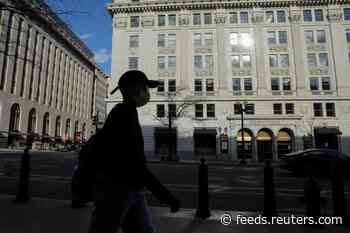 Some U.S. direct payments will take months to reach Americans: congressional panel