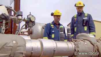 'There is some upside': Optimism in natural gas sector a result of oil industry's crisis