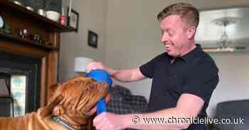 Trainer gives five top tips for entertaining your dog during lockdown