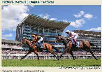 York Racecourse still selling tickets for all meetings despite coronavirus crisis