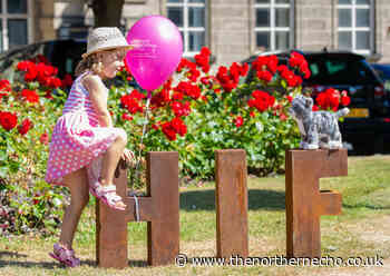 Entire summer festival programme is cancelled