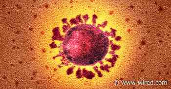 We Are in the Midst of This Coronavirus Outbreak—Now What?