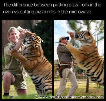 Steve Irwin Joe Exotic – The Difference Between Pizza Rolls In Oven Vs In The Microwave Meme