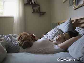 27 tips to help you sleep better, starting tonight     - CNET