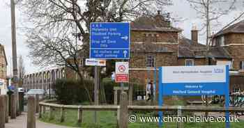 Nurse dies after 12-hour shift treating Covid-19 patients 'without adequate PPE'