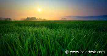 Coronavirus Second Order Effects and Improving on Bitcoin With BitTorrent Creator Bram Cohen