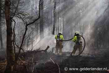 Drie jongens aangehouden voor bosbrand in Boxmeer