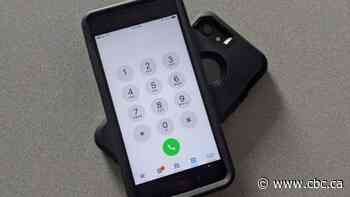 Yukon to provide free cellphones to women in vulnerable situations amid COVID-19 pandemic