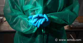 Don't Be Fooled by Covid-19 Carpetbaggers