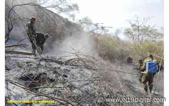 Ejército participa en sofocación de incendio forestal en Chichigalpa - El 19 Digital