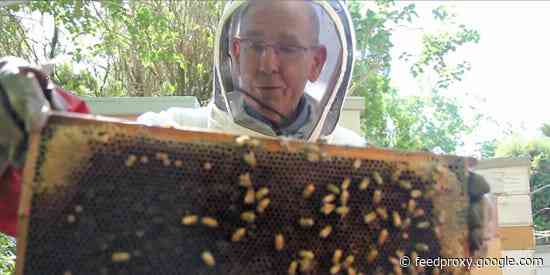 The legendary economist who predicted the housing crisis says the stock market is probably far from the bottom — in a video interview from his bee yard