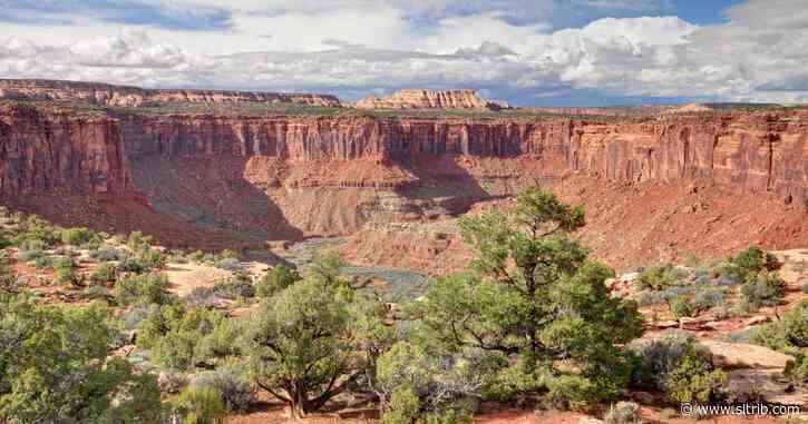 Industry seeks to lease 100,000-plus acres near Canyonlands, Arches for drilling