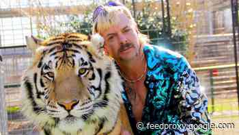 Tiger King: Where are Joe Exotic, Carole Baskin, Rick and the rest now?     - CNET