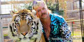Tiger King: 9 things you didn't know about Netflix's insane hit show     - CNET
