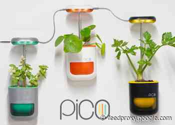 Pico indoor garden with telescopic LED grow lights