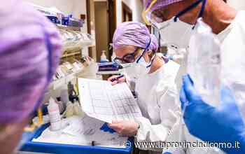 La Bcc e gli aiuti al Fatebenefratelli «Niente fazioni, ora sosteniamolo» - La Provincia di Como