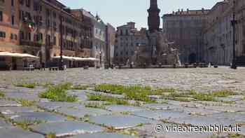 Coronavirus, niente turisti in piazza Navona: tra i sampietrini cresce l'erba - La Repubblica