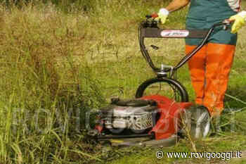 Sfalcio dell'erba nelle frazioni affidato in via sperimentale alle associazioni - RovigoOggi.it