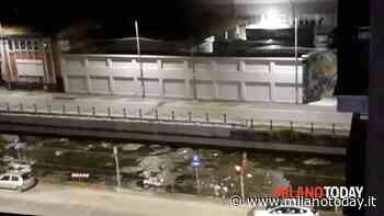 Naviglio in erba... - MilanoToday