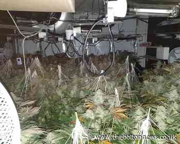 Police seize cannabis plants in raid on disused Horwich shop - The Bolton News