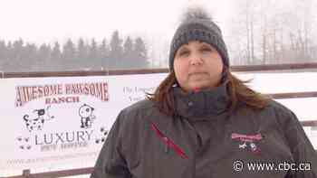 Private dog parks get a boost as Edmonton closes fenced off-leash parks - CBC.ca