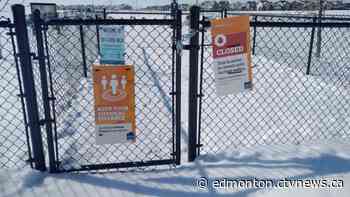 'It's frustrating': Edmonton dog owners have new rules to follow - CTV News Edmonton