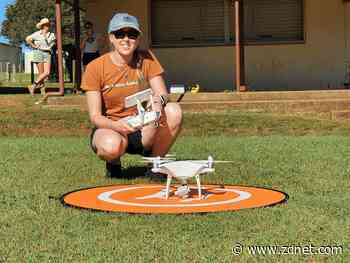 Southern Cross University scientist turns to drones to assess humpback whales