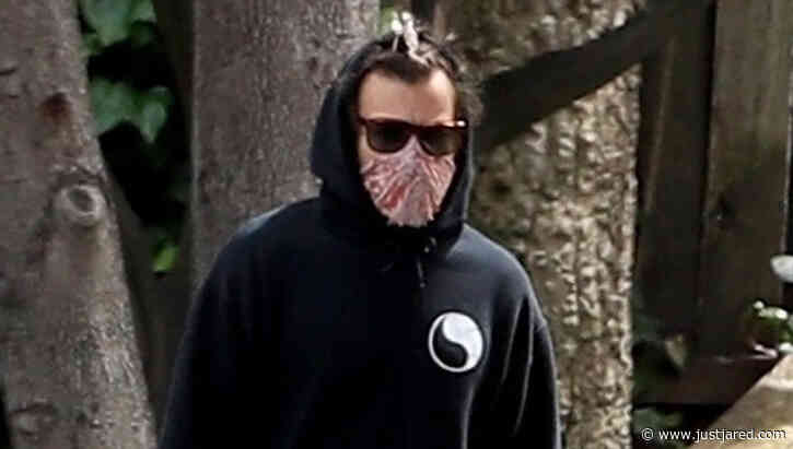 Harry Styles Goes for Walk After Bumping Into Kendall Jenner
