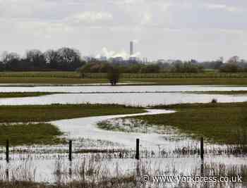 Take a virtual walk along the River Derwent
