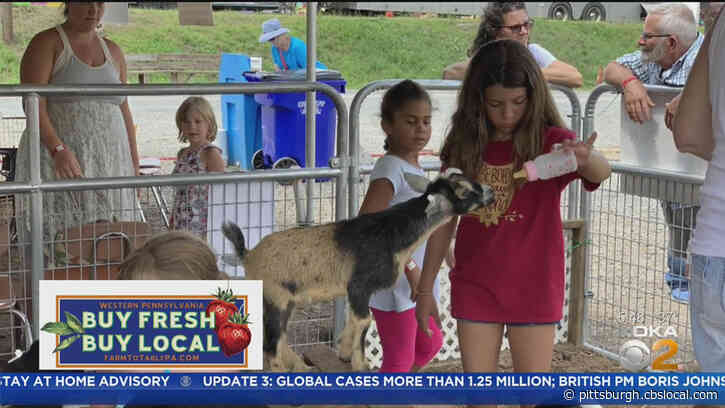 Business Is Thriving For Local Farms And Farmers Markets As Grocery Stores Face Shortages During Coronavirus Outbreak